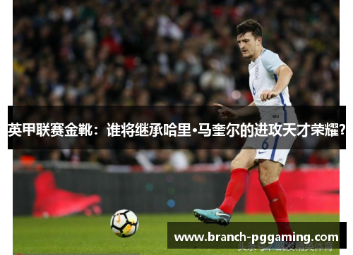 英甲联赛金靴:谁将继承哈里·马奎尔的进攻天才荣耀? 英甲联赛金靴:谁将继承哈里·马奎尔的进攻天才荣耀?
