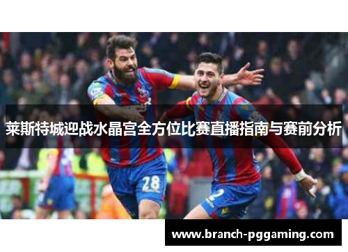 莱斯特城迎战水晶宫全方位比赛直播指南与赛前分析