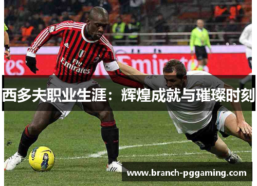 西多夫职业生涯:辉煌成就与璀璨时刻 西多夫职业生涯:辉煌成就与璀璨时刻