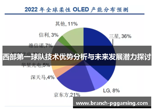 西部第一球队技术优势分析与未来发展潜力探讨 西部第一球队技术优势分析与未来发展潜力探讨