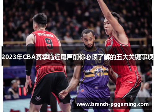 2023年CBA赛季临近尾声前你必须了解的五大关键事项 2023年CBA赛季临近尾声前你必须了解的五大关键事项
