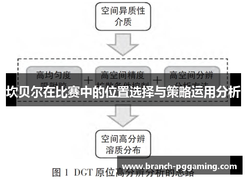 坎贝尔在比赛中的位置选择与策略运用分析 坎贝尔在比赛中的位置选择与策略运用分析