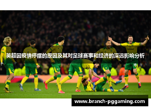英超因疫情停摆的原因及其对足球赛事和经济的深远影响分析 英超因疫情停摆的原因及其对足球赛事和经济的深远影响分析