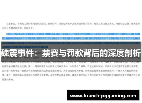 魏震事件：禁赛与罚款背后的深度剖析