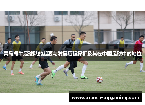 青岛海牛足球队的起源与发展历程探析及其在中国足球中的地位