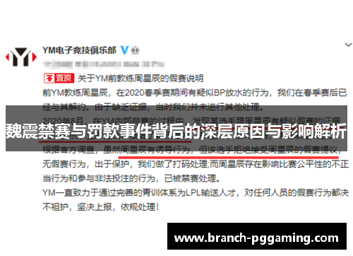 魏震禁赛与罚款事件背后的深层原因与影响解析